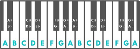 What Are Sharps and Flats on the Piano? – Julie Swihart