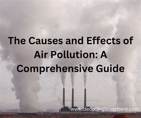 The Causes and Effects of Air Pollution: A Comprehensive Guide – Decoding Biosphere