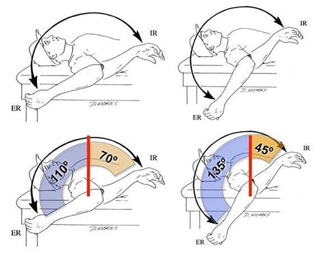 Descriptive Strength and Range of Motion in Youth Baseball Players | Published in International ...