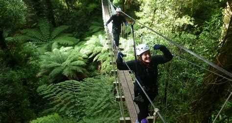 New Zealand Package Tours & Holidays | Kiwi Travel NZ - Rotorua Canopy ...