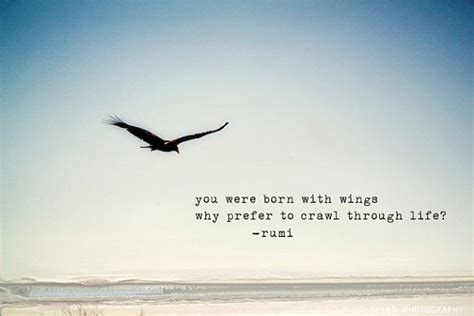 Quotes about Bird (558 quotes)