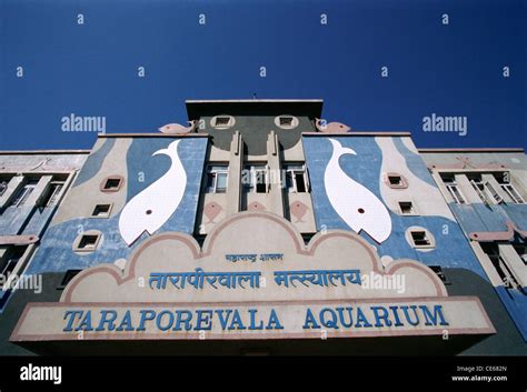 Taraporewala Aquarium ; Taraporevala Aquarium ; Oldest Indian Aquarium ...