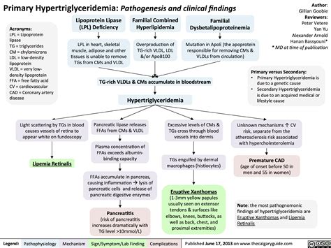 Primary Hypertriglyceridemia: Pathogenesis and Clinical Findings | Calgary Guide