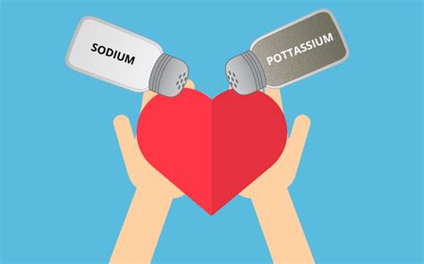 Sodium et potassium pour réguler l’eau dans le corps - U Run