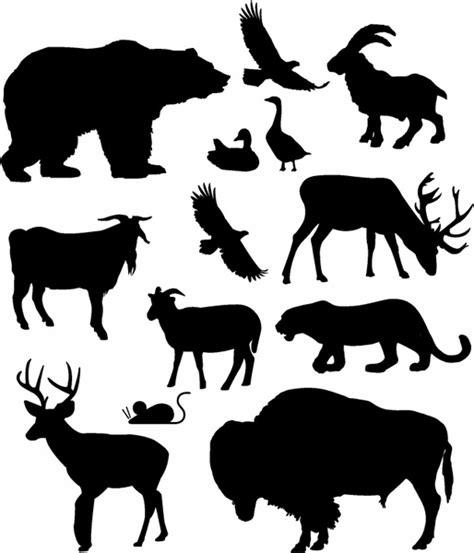 Free clipart of zoo animals free vector download (9,932 Free vector ...