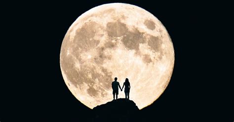 Fly Me To The Moon! 40+ Moon Quotes For When A Full Moon Leaves You Speechless