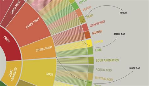 How to Use the Coffee Taster’s Flavor Wheel in Eight Steps — Specialty ...