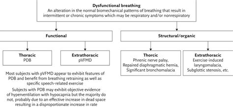 Dysfunctional Breathing and Respiratory Muscle Training Online Courses | Updated and Revised ...