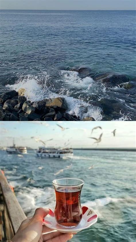 Vitamin Sea & Vitamin Tea | Vitamin sea, Vitamins, Photography