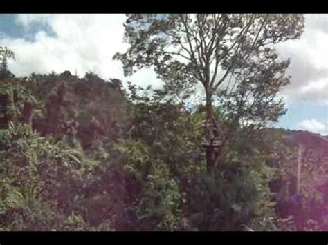 El Yunque rainforest zip line adventure in Puerto Rico - YouTube