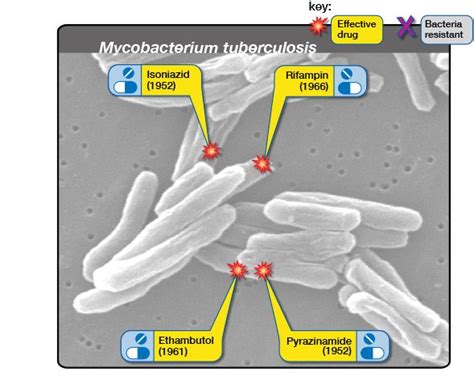 Tuberculosis Drugs and Mechanisms of Action | NIH: National Institute ...