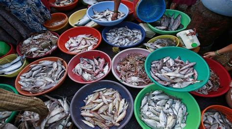 Kolkata port seeks to increase business with Odisha seafood exporters