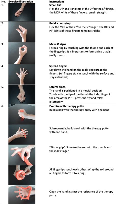 The hand exercise programme dip distal interphalangeal joint mcp – Artofit