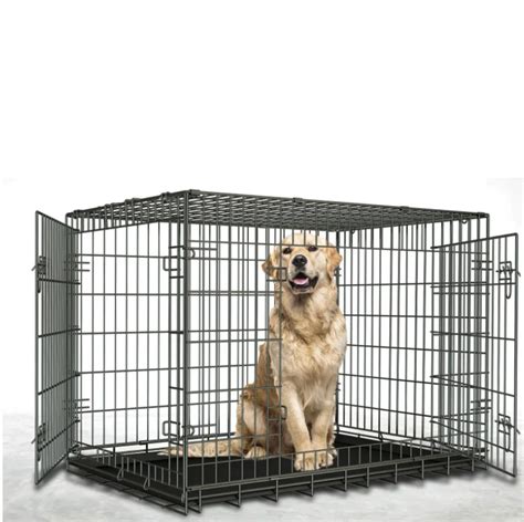 Human Dog Cage | stickhealthcare.co.uk