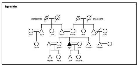 Kinship: Meaning, Types, Degree, Importance, Descent, lineage