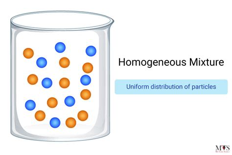 Top 13 Examples of Mixtures Around Us