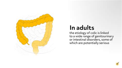 Colic: Causes, Symptoms, and Treatment Options (Video)