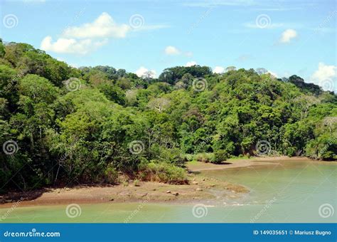 Landscape of the Panama Canal. Stock Image - Image of beach, lake: 149035651