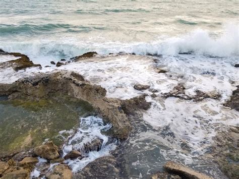 Beautiful Ocean Floor with Rocks Stock Photo - Image of view, rocks ...