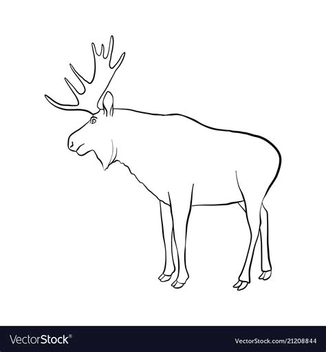 Drawing elk Royalty Free Vector Image - VectorStock