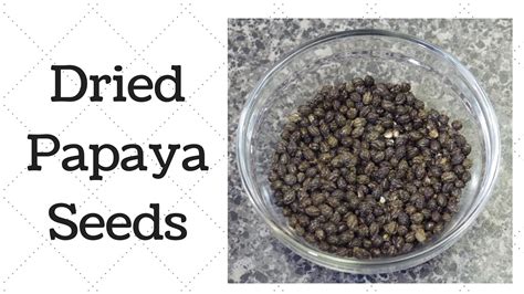 Dried Papaya Seeds - Black Pepper Alternative - YouTube