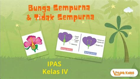 Bunga Sempurna dan Bunga Tidak Sempurna IPAS Kelas 4 SD - YouTube