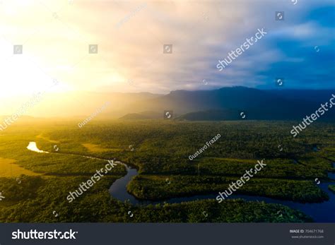 Amazon Rainforest Brazil Stock Photo 704671768 | Shutterstock