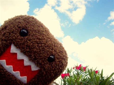 Domo HD Wallpapers - Wallpaper Cave