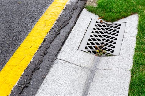 Roadway Drain Gully Guide: Types, Fixes & Clearance