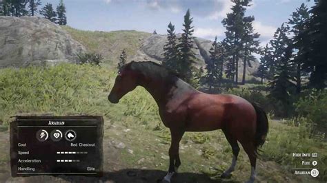 Red Dead Redemption 2 Horses: A Complete Guide - Game Specifications