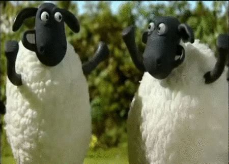 Count The Sheep GIFs - Get the best GIF on GIPHY