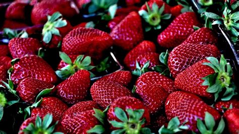 How to Use Strawberries for Your Skin | Top Natural Remedies