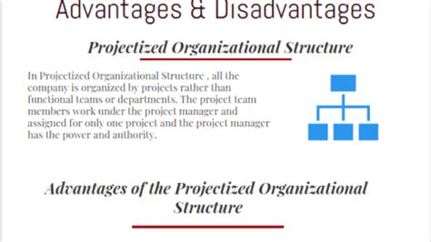 Functional Organizational Structure Advantages - projectcubicle