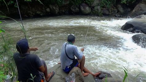 Mancing Di Sungai Besar Dengan Pemandangan Yang Indah Ca'en Pak - YouTube