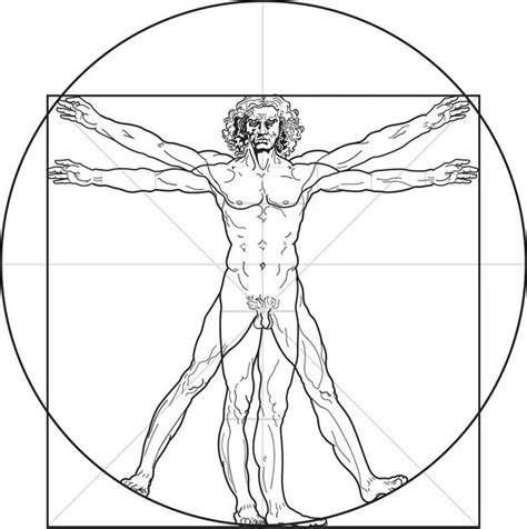 El Hombre de Vitruvio de Leonardo da Vinci: análisis y significado del ...