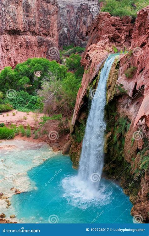 Havasu Falls, Waterfalls in the Grand Canyon, Arizona Stock Image - Image of landscape, park ...