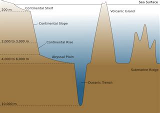 Abyssal Plain | Definition & Formation | Study.com