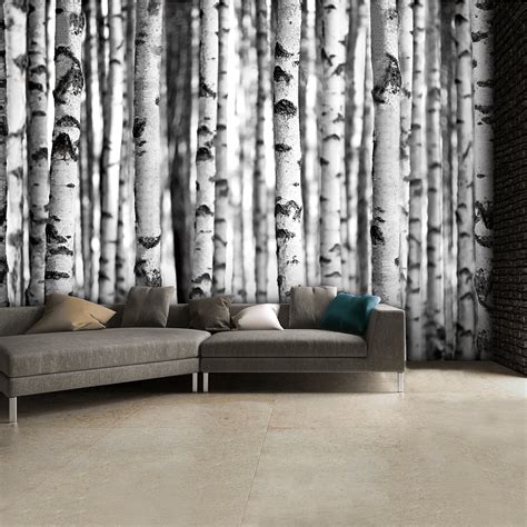 Black and White Birch Trees Wall Mural | 315cm x 232cm