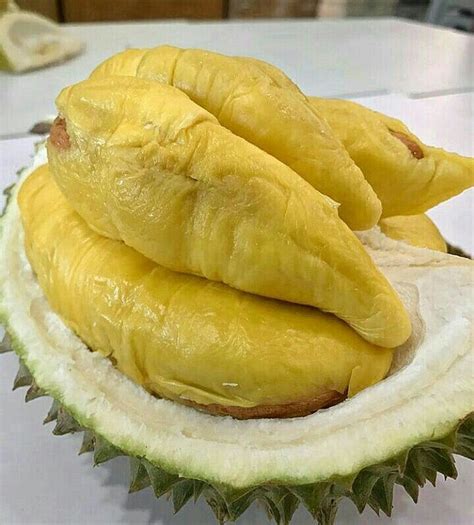 Durian monthong | Food, Durian, Healthy recipes