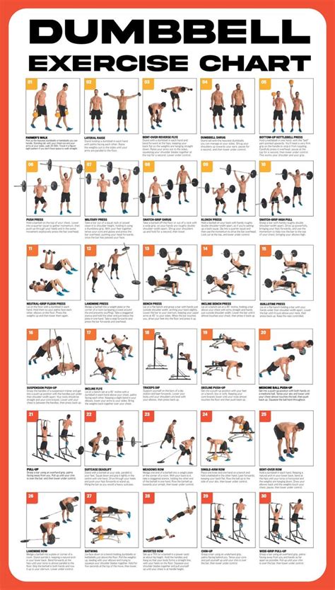 Workout Poster Dumbbell Exercise Poster Laminated, Free Weight Strength Training Chart, Fitness ...