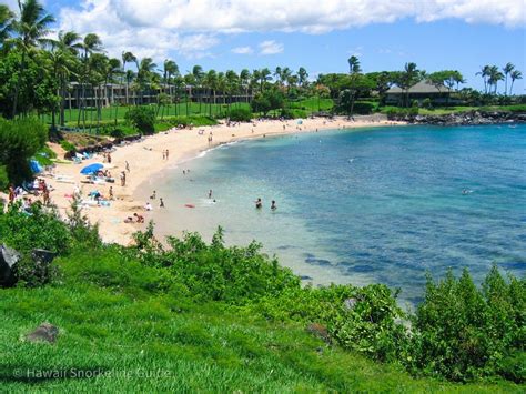 Kapalua Bay Snorkeling Secrets! The Complete Guide to Maui Snorkeling!