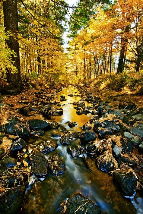 Fall Foliage and stream | Beautiful places, New hampshire, Scenery