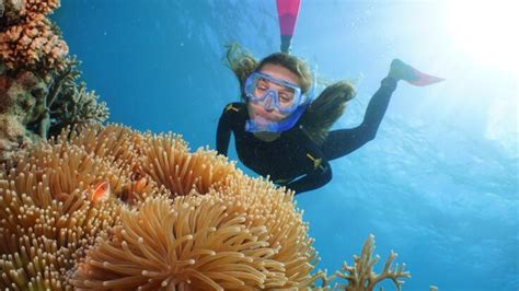 Great Barrier Reef Tours Port Douglas | Snorkel & Dive Tours