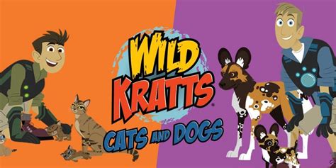 Wild Kratts: Cats and Dogs | | WTTW