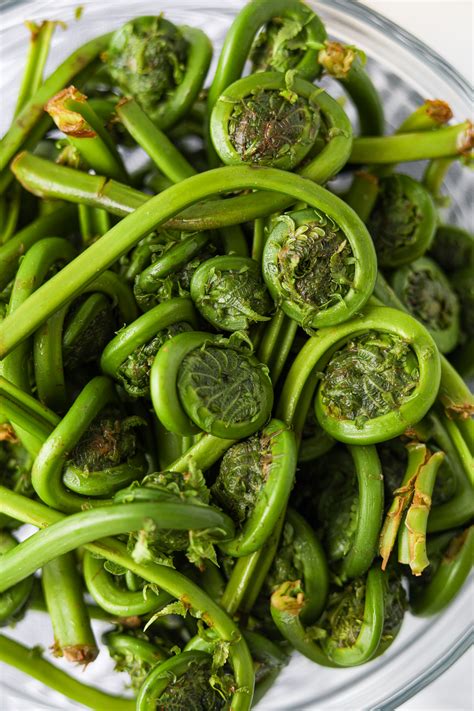 How to Cook Fiddleheads - Maritime Country Kitchen