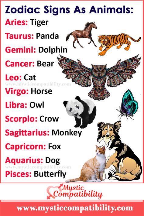 Zodiac Signs As Animals | Mystic Compatibility