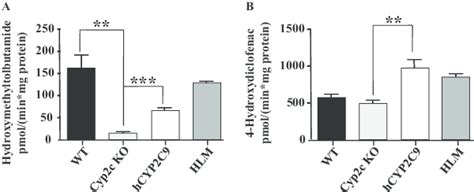 In vitro metabolism of CYP2C9 probe substrates by liver microsomes from... | Download Scientific ...