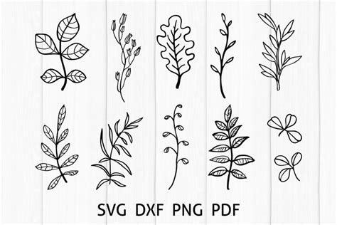 Greenery SVG Cut Files, Hand Drawn Leaves Bundle