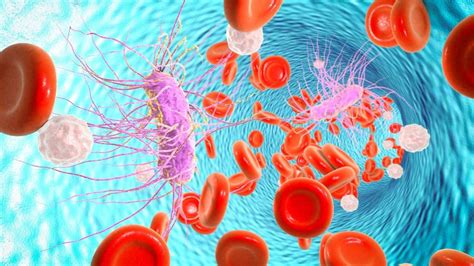 Cefotaxime: Dosage, Mechanism/Onset of Action, Half-Life - Medicine.com