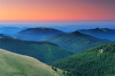 Southern Carpathians | Rewilding Europe